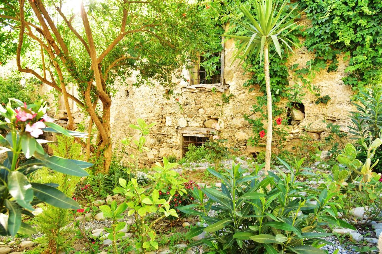 Pension Irene Sougia Extérieur photo