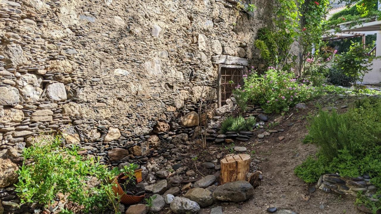 Pension Irene Sougia Extérieur photo