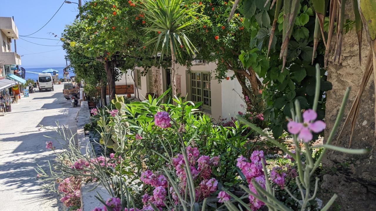 Pension Irene Sougia Extérieur photo